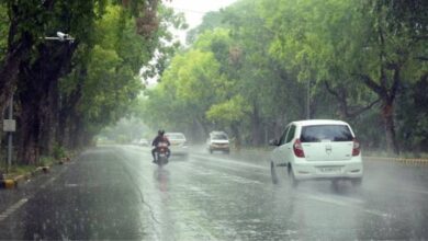 प्रदेश के इन जिलों में होगी तेज बारिश, यलो अलर्ट जारी