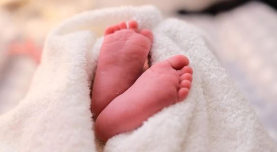 नवजात का शव कूड़े के ढेर में मिलने से फैली सनसनी, जांच में जुटी पुलिस नवजात का शव कूड़े के ढेर में मिलने से फैली सनसनी, जांच में जुटी पुलिस