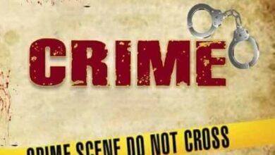 महिला की हत्या की खबर से फैली सनसनी, जंगल में मिला शव