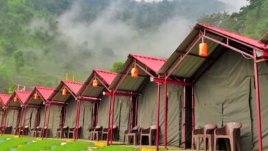 भारी संख्या में ऋषिकेश पहुंचे पर्यटक, कैंप और रिजॉर्ट की बुकिंग हुई फुल