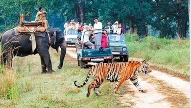 थर्टी फर्स्ट और नए साल के जश्न को लेकर कॉर्बेट प्रशासन का अलर्ट जारी