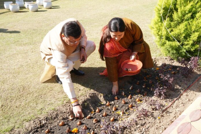 मुख्यमंत्री ने आवास परिसर में किया ट्यूलिप की 17 प्रजातियों का रोपण