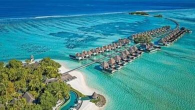 दिखने लगा है बॉयकॉट का असर, मालदीव को हर दिन हो रहा इतने करोड़ रुपए का नुकसान