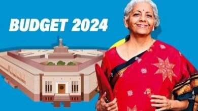 वित्त मंत्री निर्मला सीतारमण ने अंतरिम बजट 2024 का किया एलान, मध्यम वर्ग के लिए हुए ये एलान