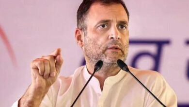 वायनाड से चुनाव लड़ेंगे राहुल गांधी, कई राज्यों के उम्मीदवारों के नाम पर लगी मुहर, यहां देखें लिस्ट