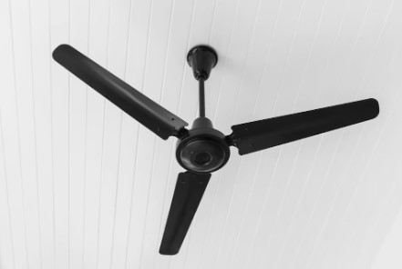 सीलिंग फैन की तेज आवाज से हो रही है परेशानी, तो आजमाएं ये आसान ट्रिक्स सीलिंग फैन की तेज आवाज से हो रही है परेशानी, तो आजमाएं ये आसान ट्रिक्स