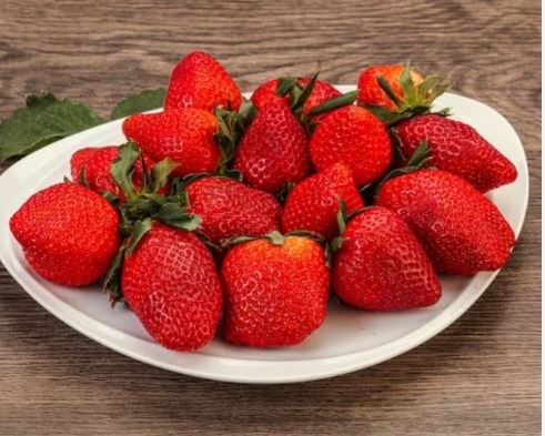 स्ट्रॉबेरी खाना किडनी रोगियों के लिए होता है लाभदायक, मिलते हैं कई फायदे स्ट्रॉबेरी खाना किडनी रोगियों के लिए होता है लाभदायक, मिलते हैं कई फायदे