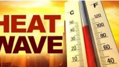 भयावह खतरा है लू की तीव्रता