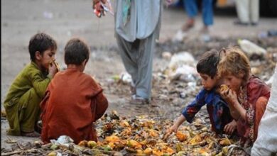 भूख जैसी समस्या का भी हल नहीं