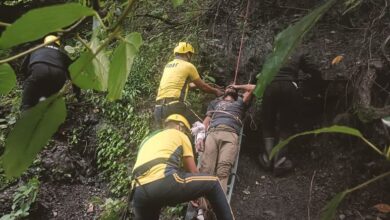 दून-मसूरी मार्ग पर खाई में गिरी कार, दो की मौत