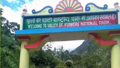 “फूलों की घाटी में विदेशी पर्यटकों की चहल-पहल, 31 अक्टूबर से बंद हो जाएंगे प्रवेश द्वार”